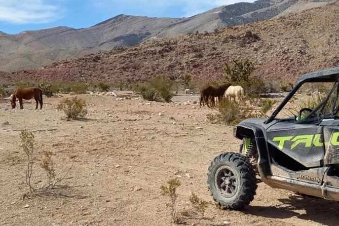 Las Vegas UTV Tour - Vegas ATV Adventure Around Goodsprings: The Point of the Tour