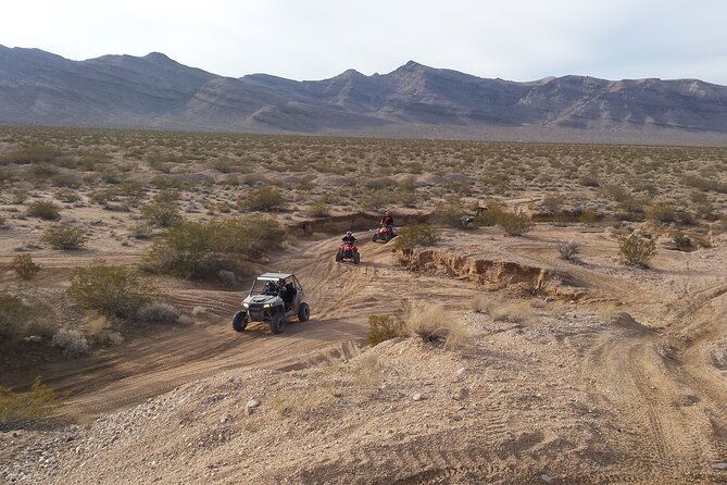 Las Vegas UTV Tour - Who This UTV Tour Fits Best (And Who Should Think Twice)