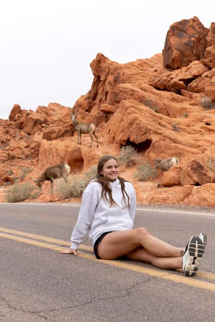 Las Vegas: Valley of Fire and Red Rock Canyon Day Trip - Sunrise at Valley of Fire: Why the morning start matters