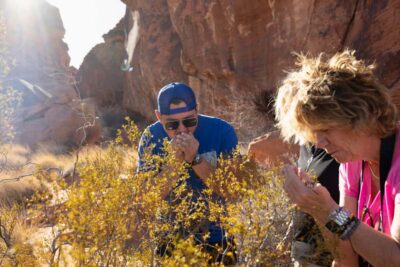 Las Vegas: Valley of Fire and Red Rock Canyon Day Trip - Wildlife watching in the cool hours (and how to actually spot it)