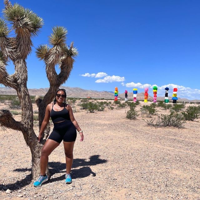 Las Vegas: Valley of Fire and Red Rock Canyon Day Trip - Who this day trip fits best