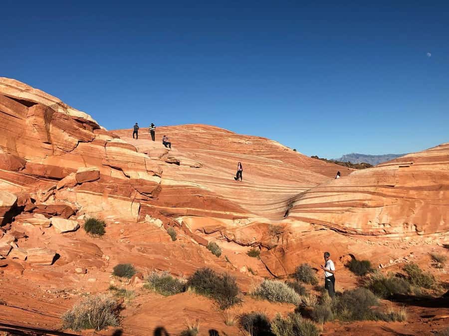 Las Vegas: Valley of Fire Half-Day Guided Hike with Pickup - Key Highlights You’ll Actually Feel on the Hike