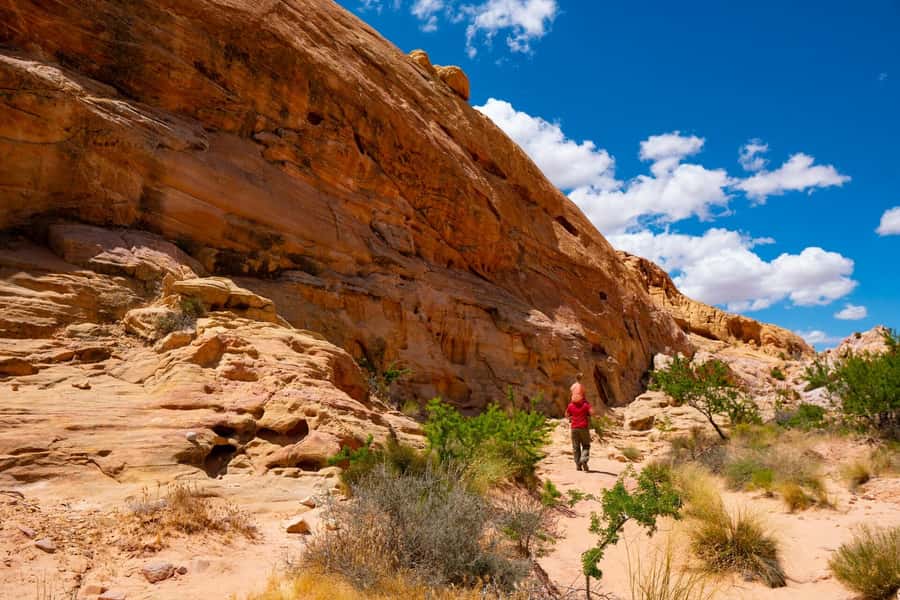 Las Vegas: Valley of Fire Half-Day Guided Hike with Pickup - Why Valley of Fire Feels Close From Las Vegas