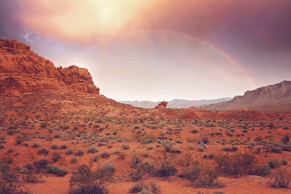 Las Vegas: Valley of Fire State Park Guided Tour - Price and value: what $89 gets you (and what it doesn’t)