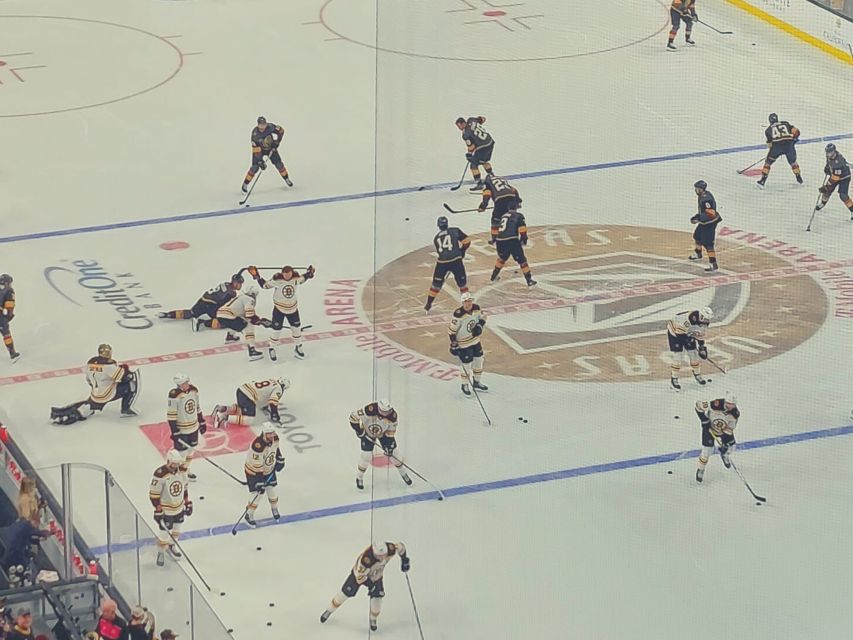 Las Vegas: Vegas Golden Knights Ice Hockey Game Ticket - Crowds, comfort, and sensory needs