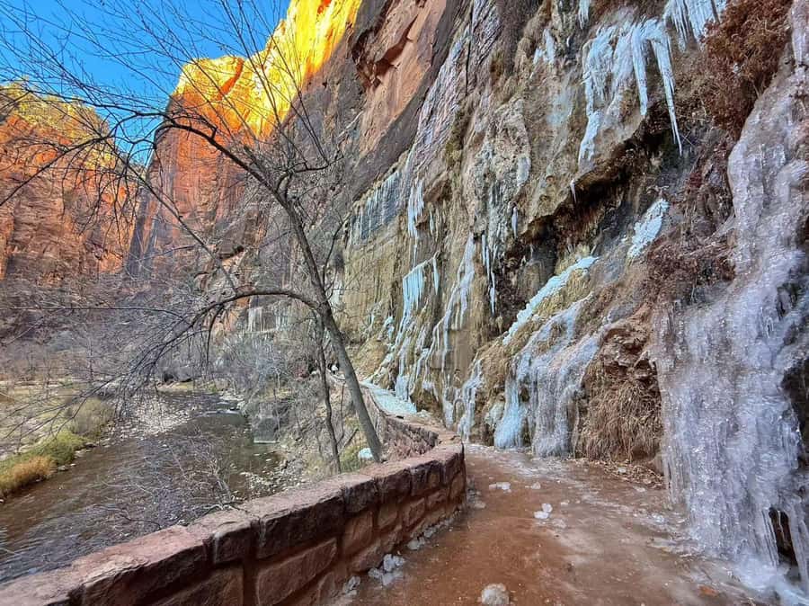 Las Vegas: Zion National Park Group Tour with Lunch - Entering Zion: the visitor center stop that gives you the right bearings