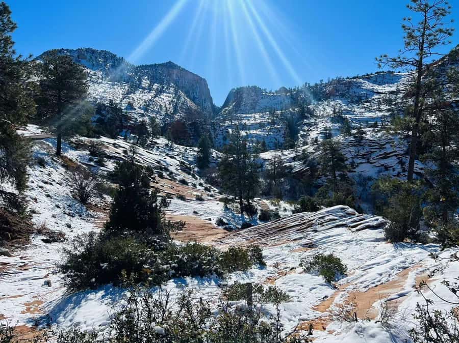 Las Vegas: Zion National Park Group Tour with Lunch - Photo stops along the scenic drive: extra chances for real Zion views