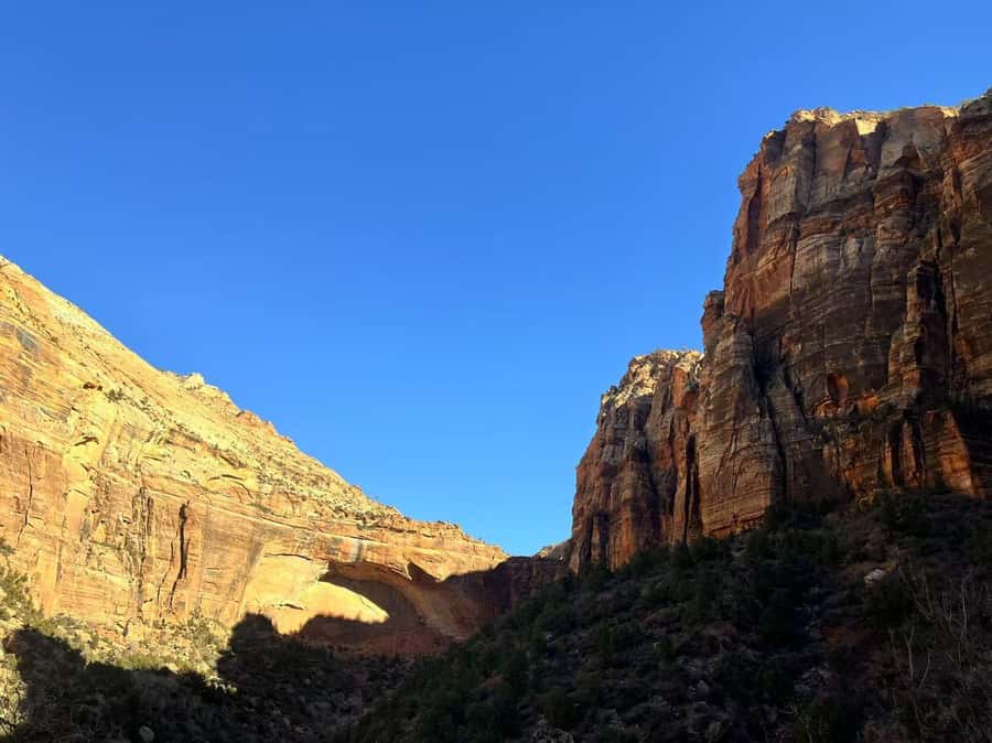 Las Vegas: Zion National Park Group Tour with Lunch - Riverside Walk along the Virgin River: easy steps, real canyon calm