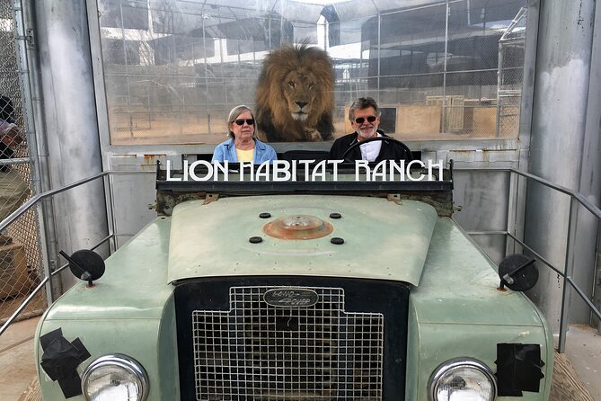 Lion Habitat Ranch Admission Ticket in Las Vegas - Heat, comfort breaks, and the small stuff that changes the day