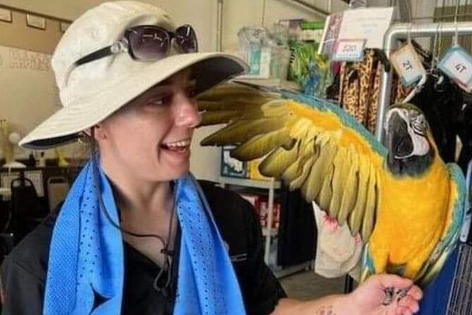 Lion Habitat Ranch Admission Ticket in Las Vegas - Who this experience is best for (and who might want to rethink it)
