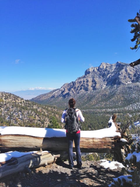 Mount Charleston Driving Adventure: Escape to Nature - Quick Altitude Escape: Why This Drive Works in Two Hours