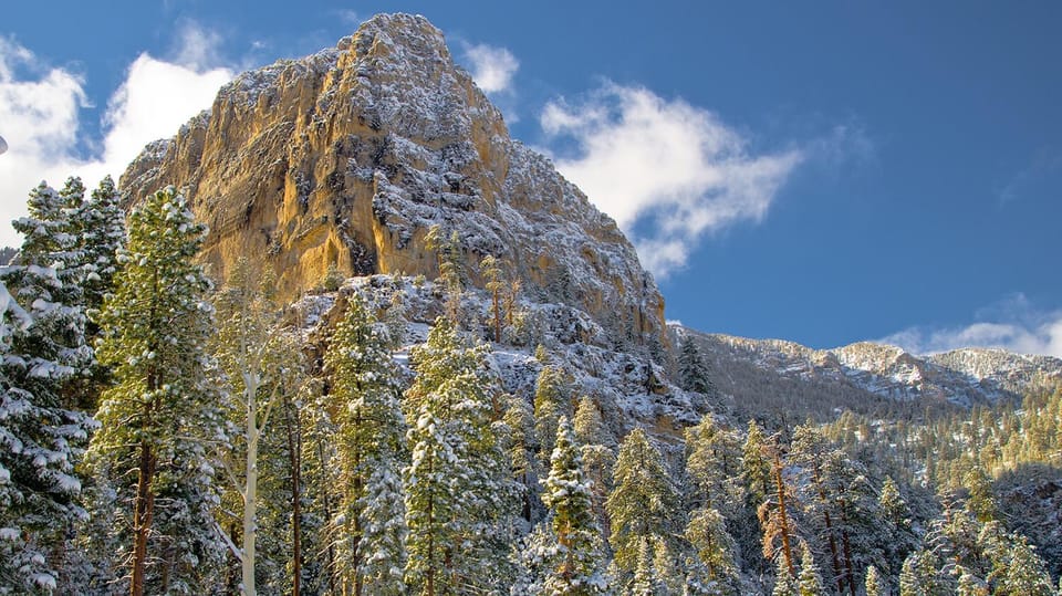 Mount Charleston Driving Adventure: Escape to Nature - From Neon to Desert: Your First Stretch of the Route