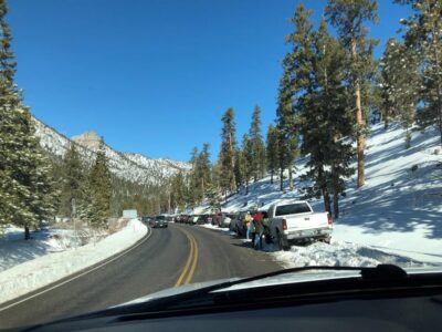 Mount Charleston Driving Adventure: Escape to Nature - Guided Photo Pull-Offs and Short Nature Walks