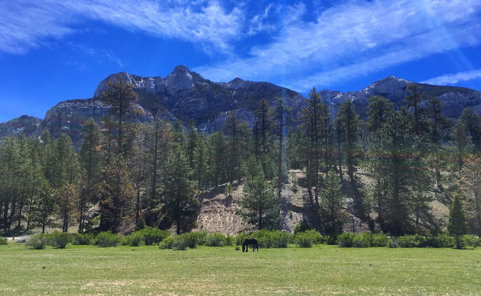 Mount Charleston Driving Adventure: Escape to Nature - Price and Value: Is $149 per Person Fair?