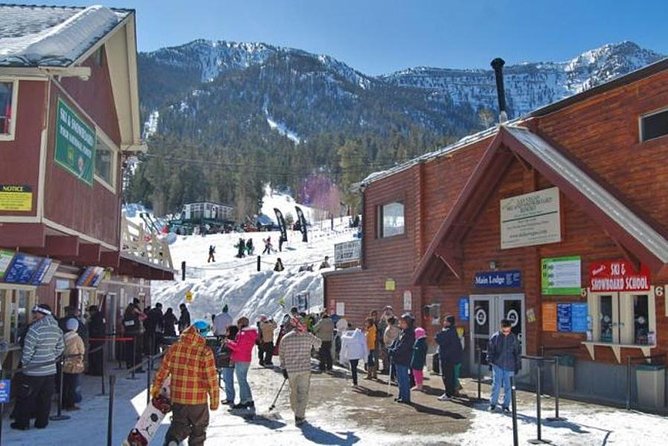 Mount Charleston Tour - Who This Tour Suits Best (and Who Might Want a Different Option)