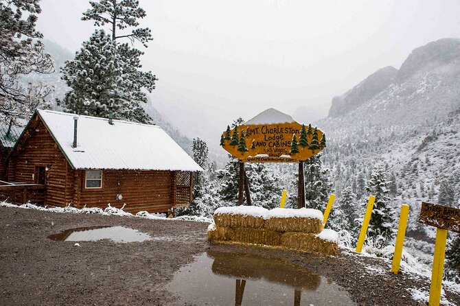 Mount Charleston Tour from Las Vegas - Key things to know before you go