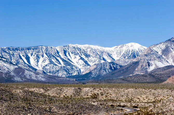 Mount Charleston Tour from Las Vegas - Getting out of the Vegas heat: Charleston Peak in about five hours