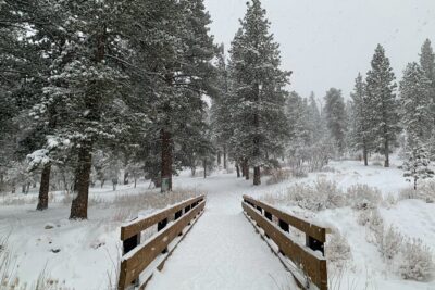 Mount Charleston Tour from Las Vegas - Price and value: what $119 buys you (and what it doesn’t)