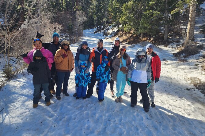 Mount Charleston Tour from Las Vegas - Winter fun details: sleds, Lee Canyon, and getting your footing