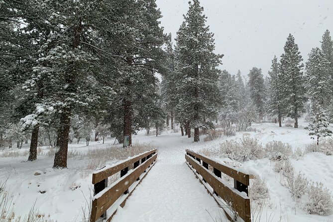 Mount Charleston Tour from Las Vegas - Price and value: what $119 buys you (and what it doesn’t)