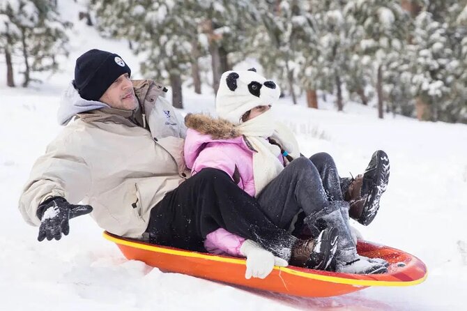 Mount Charleston Tour - Getting There: Pickup Timing and Drop-Off Details You Should Plan Around