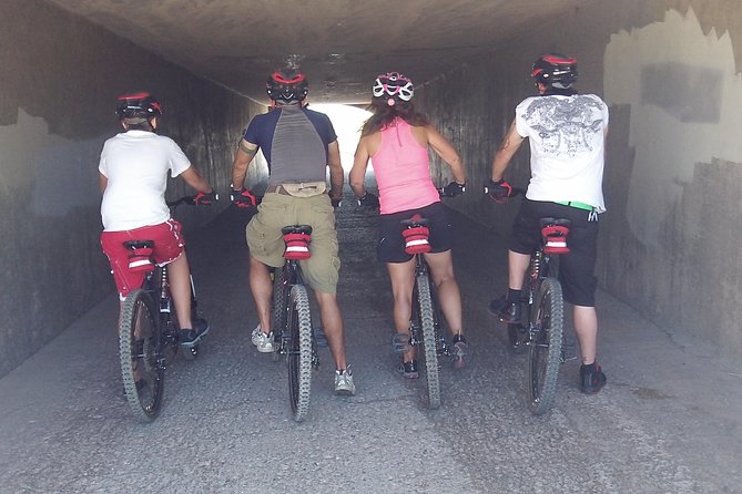 Mountain Bike Historical Tunnel Trail to Hoover Dam from Las Vegas - The ride to Lake Mead: desert animals, photo stops, and gentle downhill flow