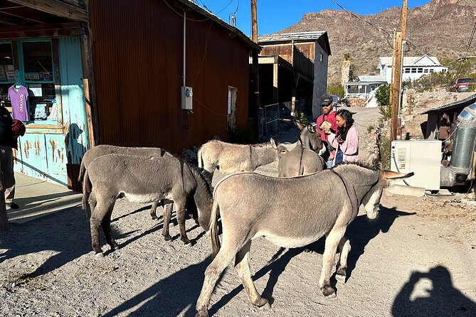 Oatman Mining Camp, Burros, Scenic RT 66 Direct From Las Vegas - Photo Tips for Route 66 Views, Burros, and Wild West Streets