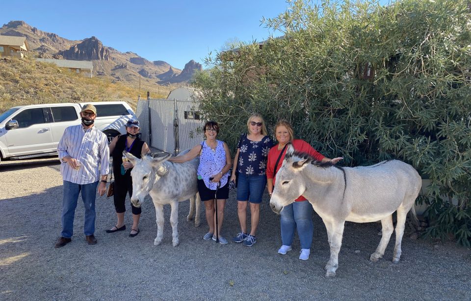 Oatman Mining Village: Burros/Route 66 Scenic Mountain Tour - What to bring (and what to skip) so the day stays easy
