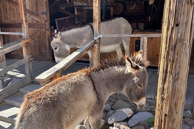 Oatman Old West Town: Route 66, Museum & Black Mountain Drive - Black Mountain Drive: the part you’ll feel more than see
