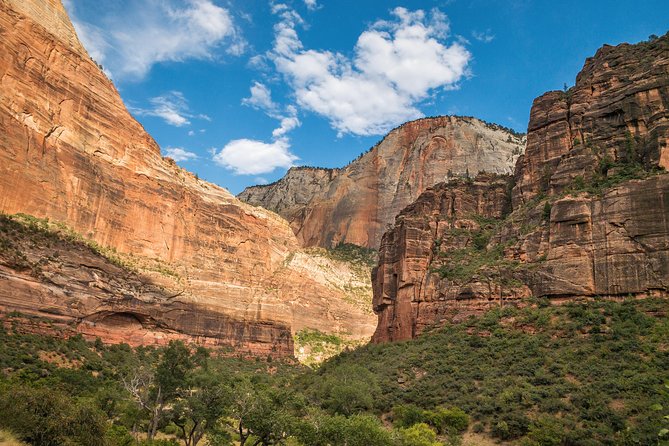 PREMIUM 3-Day Winter Grand Canyon, Monument Valley and Zion Tour - Zion National Park: easy routes with room to feel the place