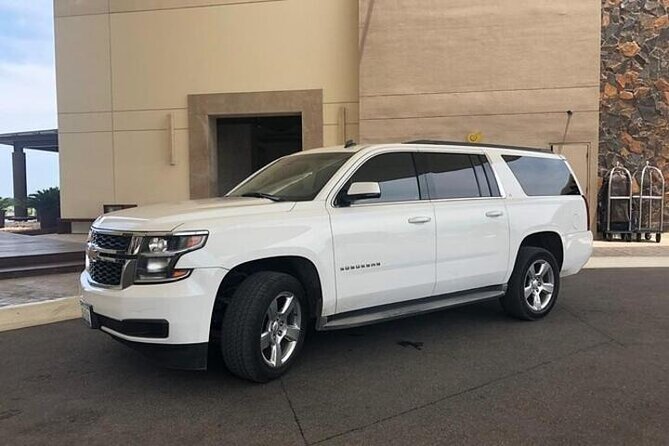 Private Departure Transfer Las Vegas City to LAS Airport - Pickup and flight details: how to find your driver fast