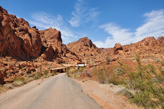 Private Hoover Dam and Valley of Fire Combo Tour with Brunch - The Mike O’Callaghan–Pat Tillman Bridge: 900 Feet Above the Colorado River