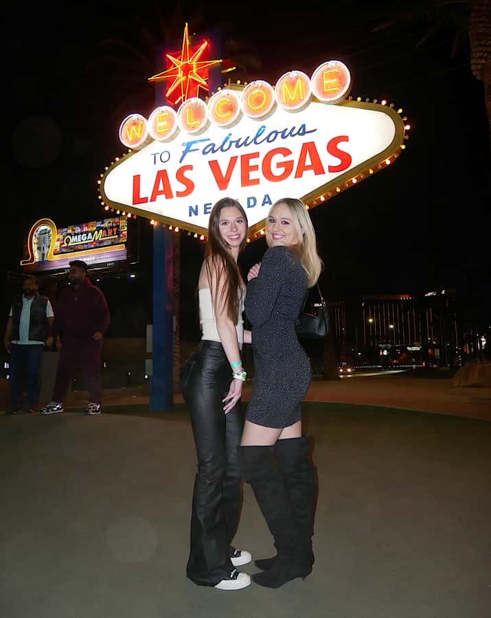 Private Limo 2.5hr Tour of Vegas with Champagne - Driver vibes, music, and photo requests when it’s safe