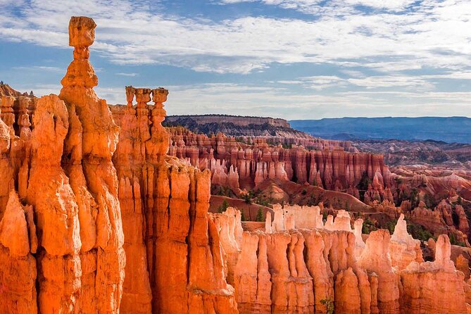 Private Tour to Zion National Park from Las Vegas - What you do (and don’t) have time for