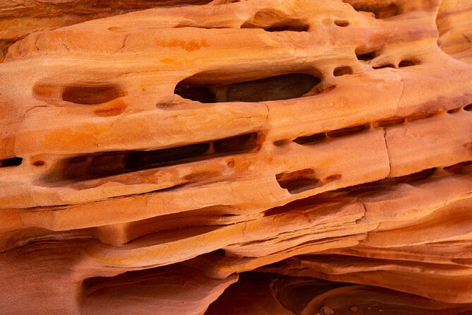 Private Tour: Valley of Fire Day Tour from Las Vegas - The guides and drivers: the service that makes the day feel easy