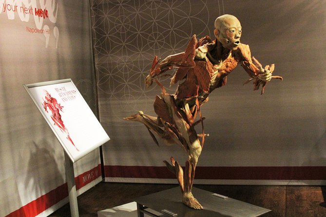 Real Bodies at Horseshoe Las Vegas - Entering the Horseshoe: how to find Real Bodies fast