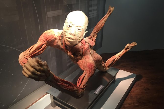 Real Bodies at Horseshoe Las Vegas - The second stop at Horseshoe: human-story galleries