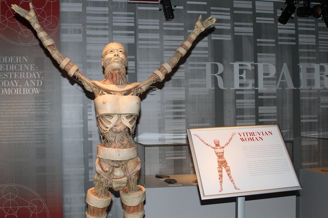 Real Bodies at Horseshoe Las Vegas - Photo rules, timing, and pacing that won’t stress you out