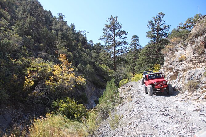 Red Rock Canyon Half Day Jeep Tour Offroad Adventure - Red Rock Canyon by Jeep: why this works as a Vegas escape