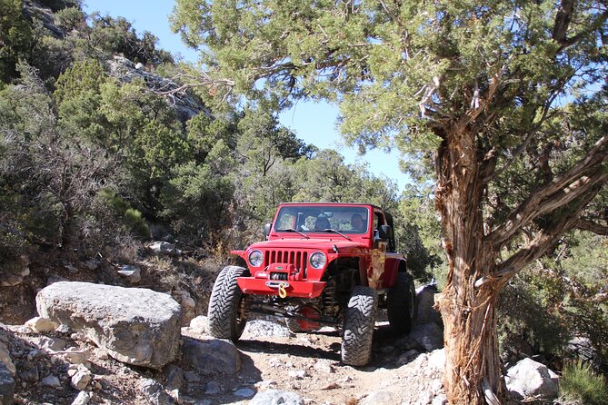 Red Rock Canyon Half Day Jeep Tour Offroad Adventure - Willow Springs “air down” and off-road setup you can actually feel