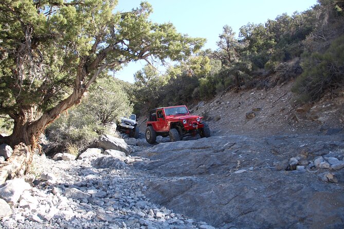 Red Rock Canyon Half Day Jeep Tour Offroad Adventure - What to wear and how much fitness you really need