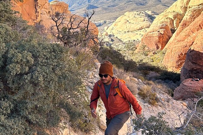 Red Rock Canyon Hiking Adventure fom Las Vegas - Key highlights you’ll care about