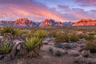 Red Rock Canyon Scooter Tour from Las Vegas - The short scooter lesson that actually makes a difference