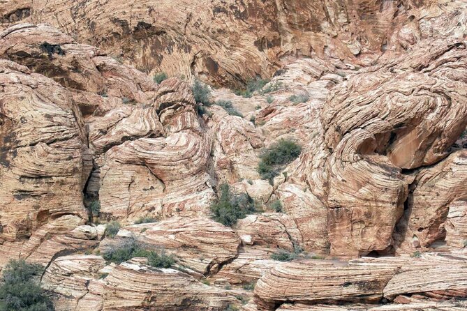 Red Rock Canyon Self-Guided Driving Audio Tour - Turtlehead Mountain: for aerial views lovers and raptor-style imagining