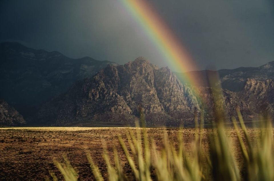 Red Rock Canyon Sign& Seven Magic Mountains Tour - Why this half-day combo tour works (and who it’s for)