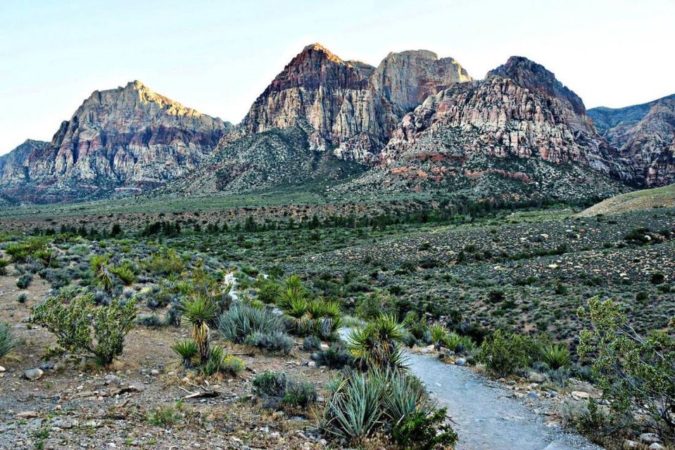 Red Rock Canyon Sign& Seven Magic Mountains Tour - Should you book this Red Rock Sign and Seven Magic Mountains tour?