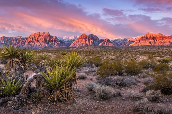 Red Rock Canyon Tour by Electric Scooter - Key highlights you’ll feel right away