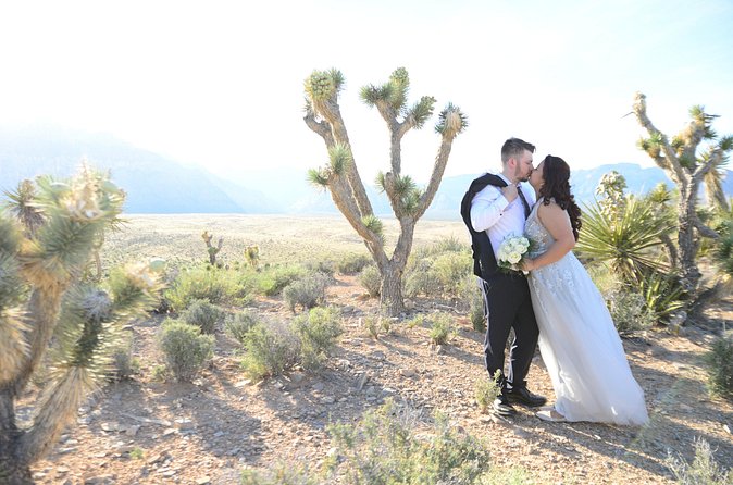 Red Rock Canyon Wedding by Private Limousine - Limo ride: convenient transport with a reality check