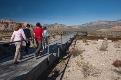Red Rock Canyon with Rocky Gap Road 4x4 Jeep Tour - Open-Air Jeep Comfort: What to Expect in the Real Desert