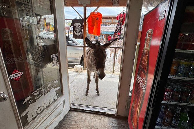 Route 66, Oatman, Nelson Ghost Town SmallGroup Tour from LasVegas - Who this tour is best for (and who should rethink it)